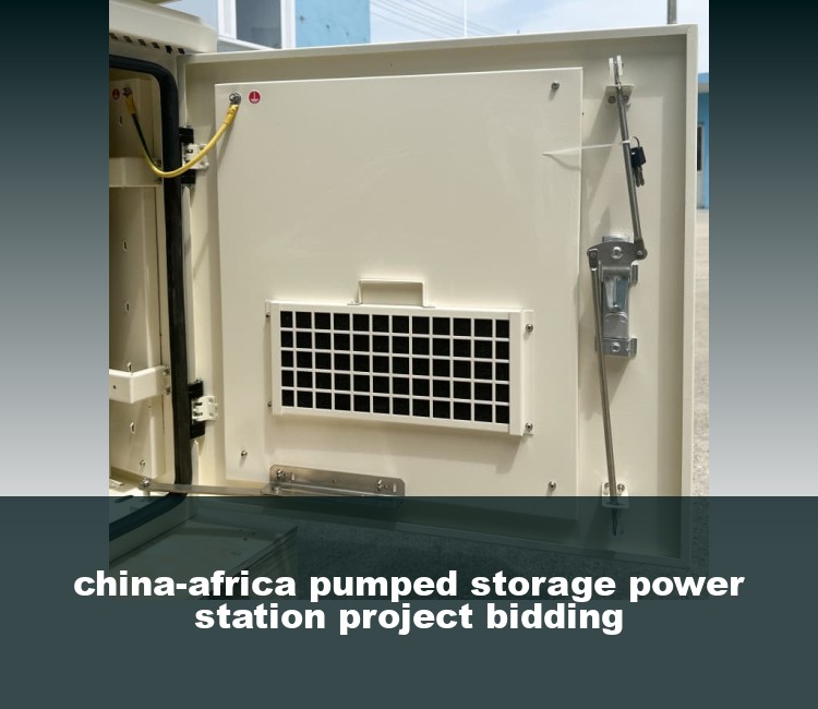 china-africa pumped storage power station project bidding