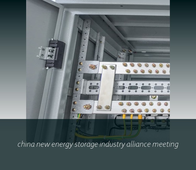 china new energy storage industry alliance meeting