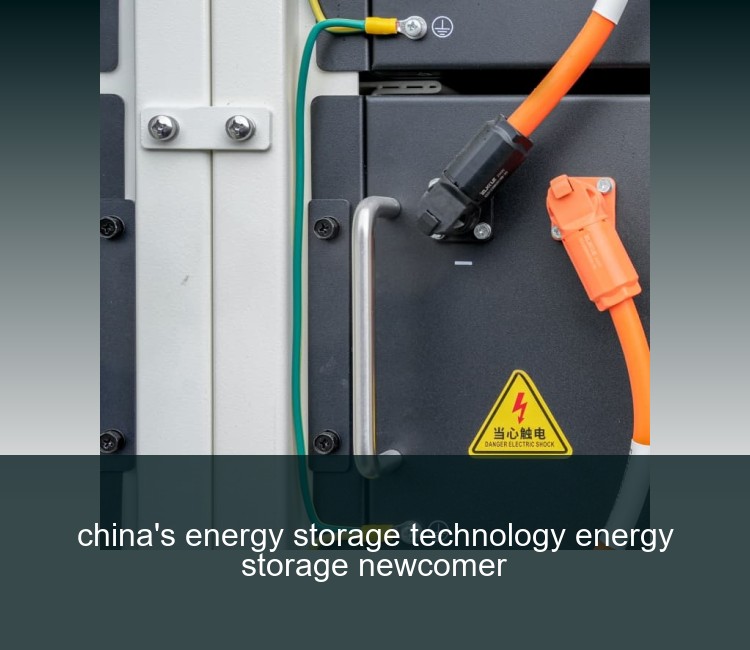 china's energy storage technology energy storage newcomer