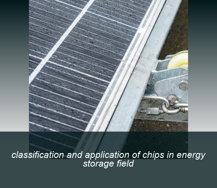 classification and application of chips in energy storage field