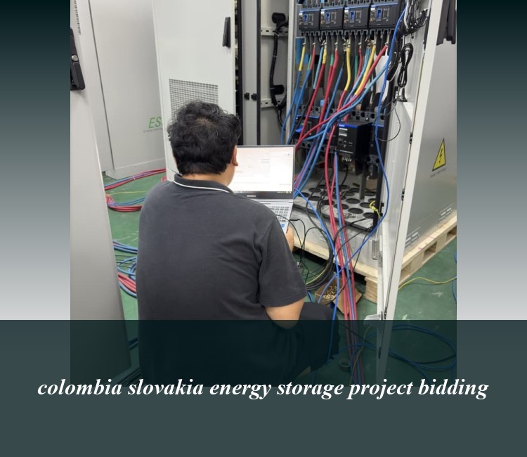 colombia slovakia energy storage project bidding