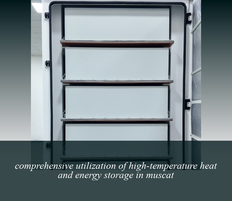 comprehensive utilization of high-temperature heat and energy storage in muscat