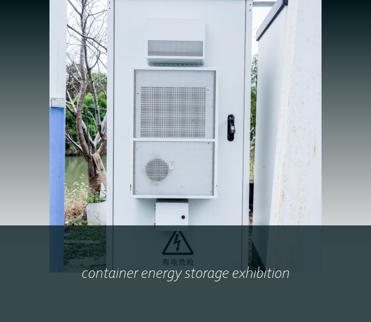 container energy storage exhibition
