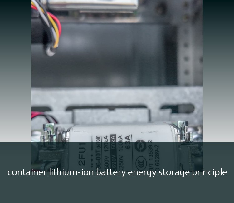 container lithium-ion battery energy storage principle