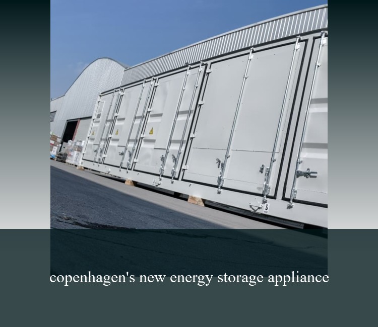 copenhagen's new energy storage appliance
