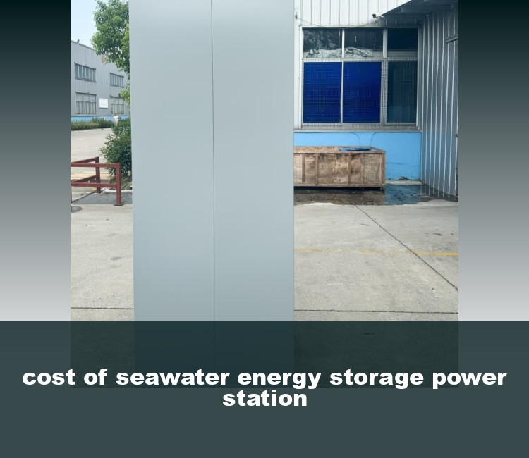 cost of seawater energy storage power station