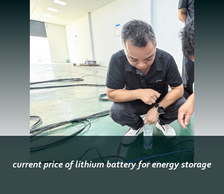current price of lithium battery for energy storage