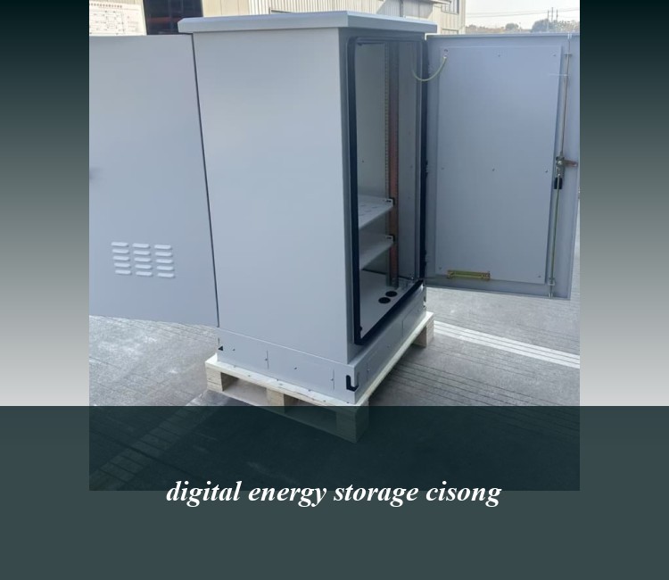 digital energy storage cisong