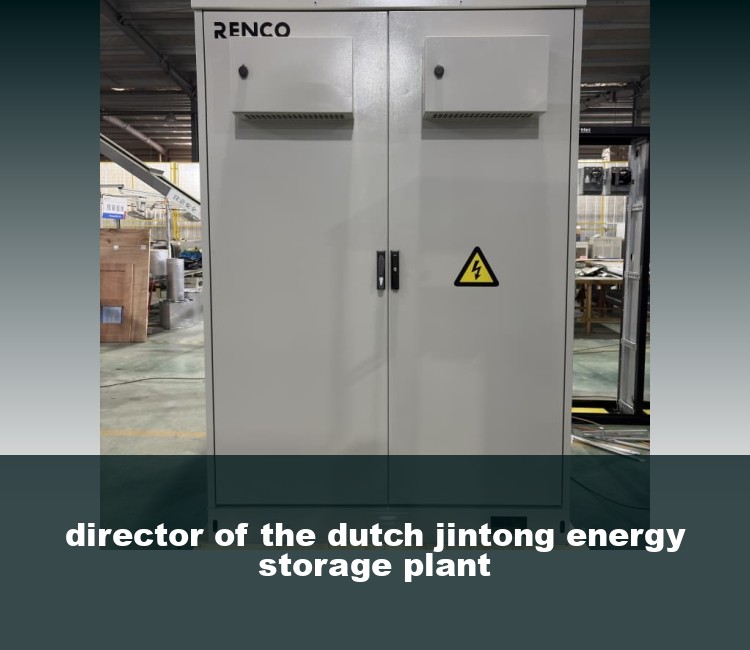 director of the dutch jintong energy storage plant