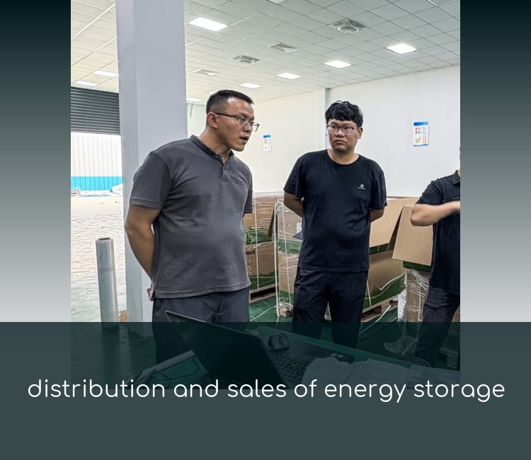 distribution and sales of energy storage
