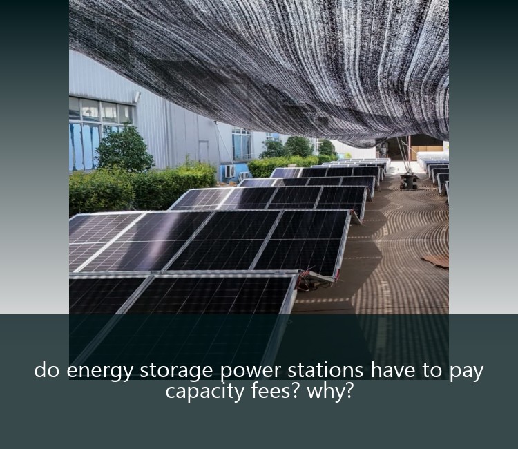 do energy storage power stations have to pay capacity fees? why?
