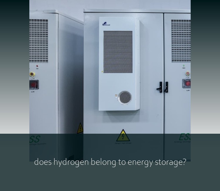 does hydrogen belong to energy storage?