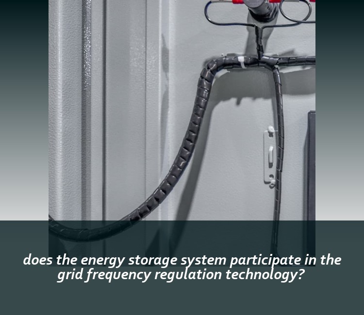 does the energy storage system participate in the grid frequency regulation technology?