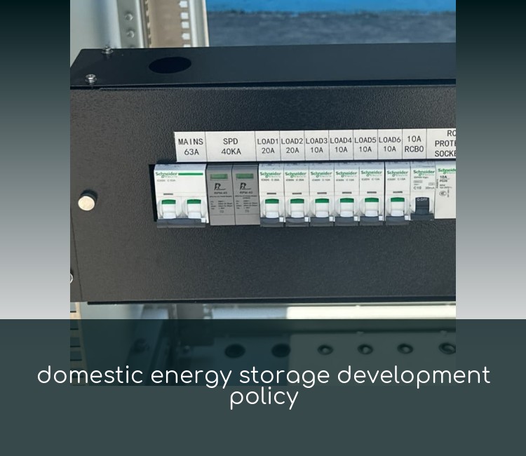 domestic energy storage development policy