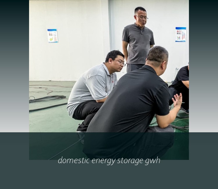 domestic energy storage gwh