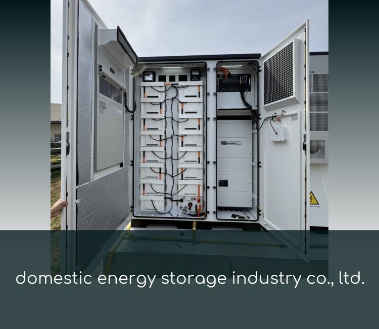 domestic energy storage industry co., ltd.