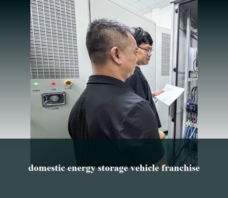 domestic energy storage vehicle franchise