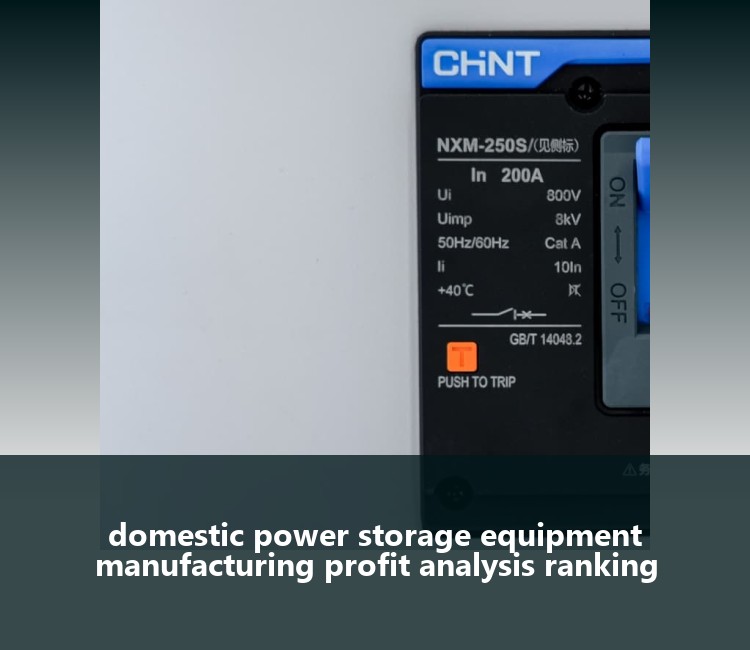 domestic power storage equipment manufacturing profit analysis ranking