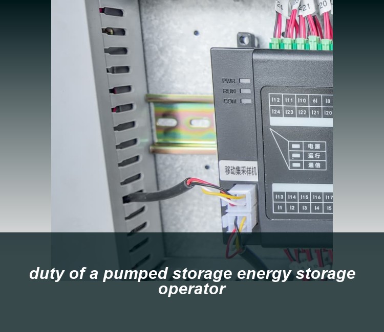 duty of a pumped storage energy storage operator