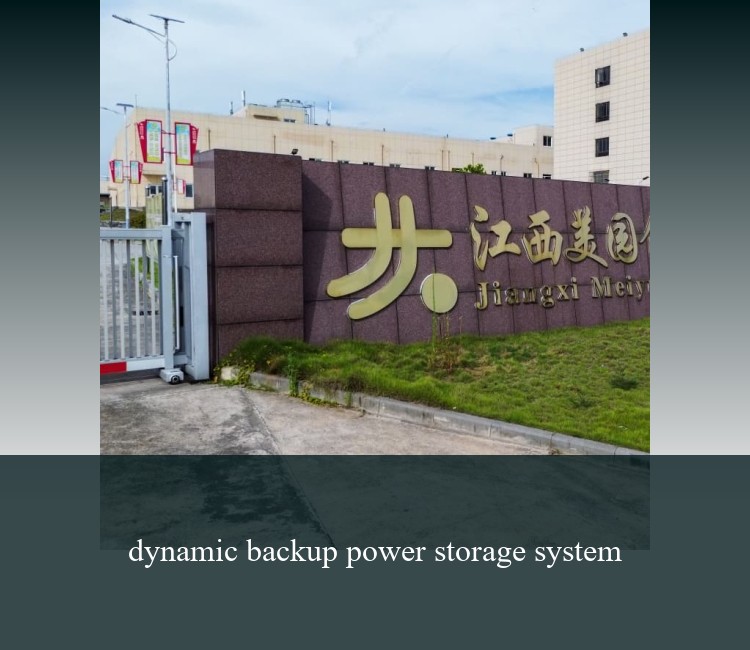dynamic backup power storage system