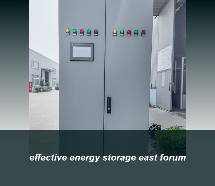 effective energy storage east forum
