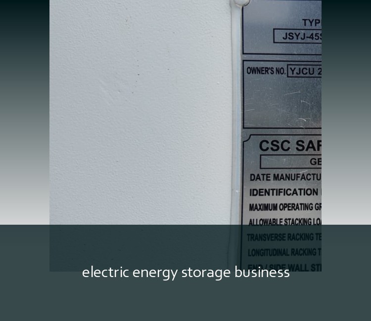 electric energy storage business