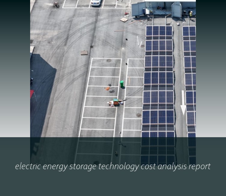 electric energy storage technology cost analysis report