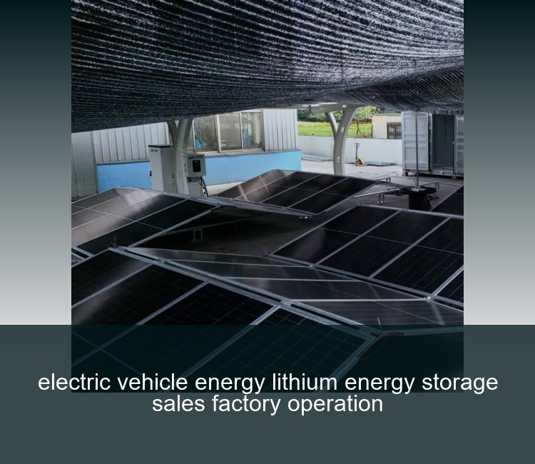 electric vehicle energy lithium energy storage sales factory operation