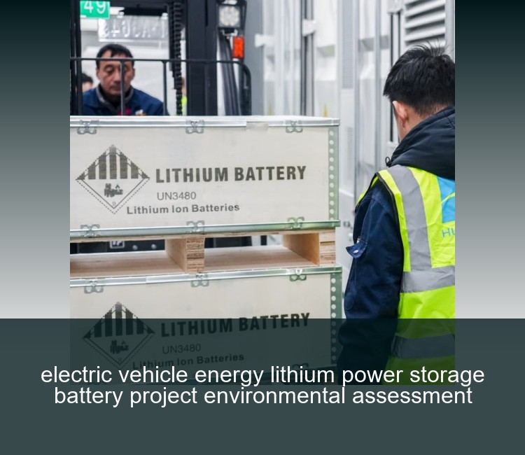 electric vehicle energy lithium power storage battery project environmental assessment