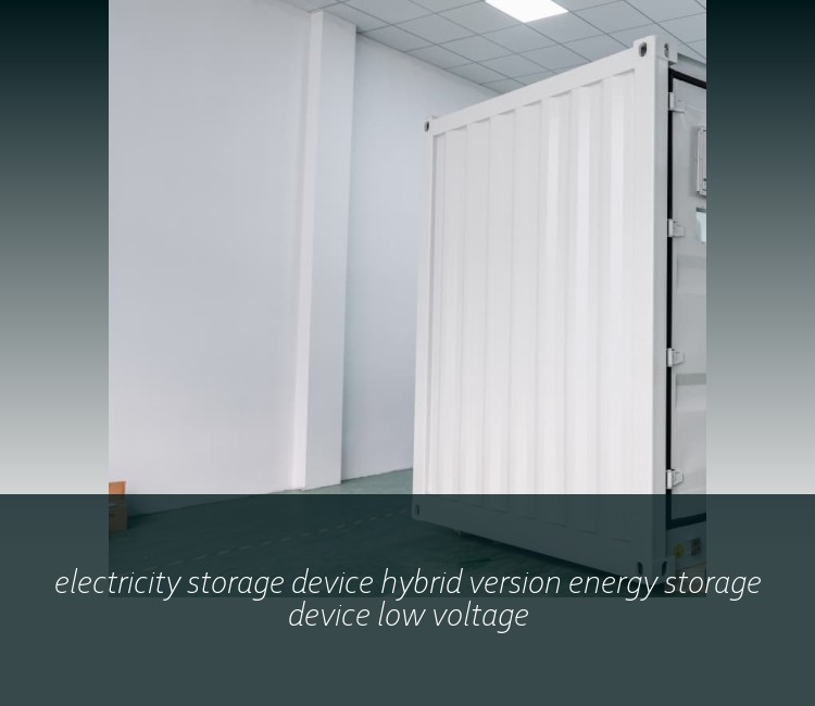 electricity storage device hybrid version energy storage device low voltage
