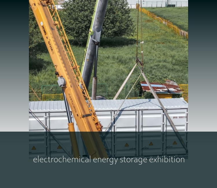 electrochemical energy storage exhibition