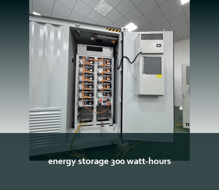 energy storage 300 watt-hours