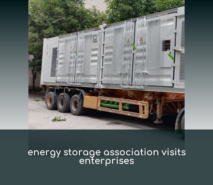 energy storage association visits enterprises