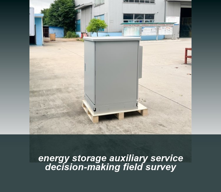 energy storage auxiliary service decision-making field survey