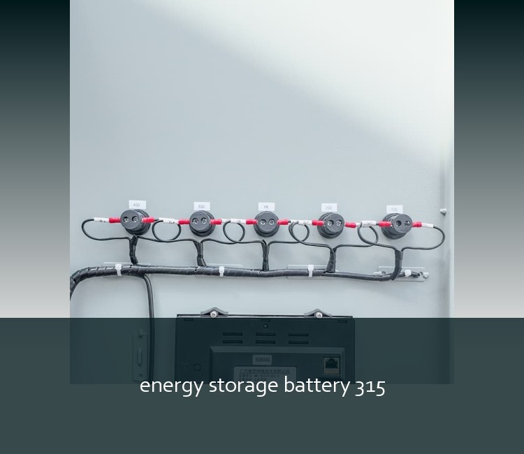 energy storage battery 315