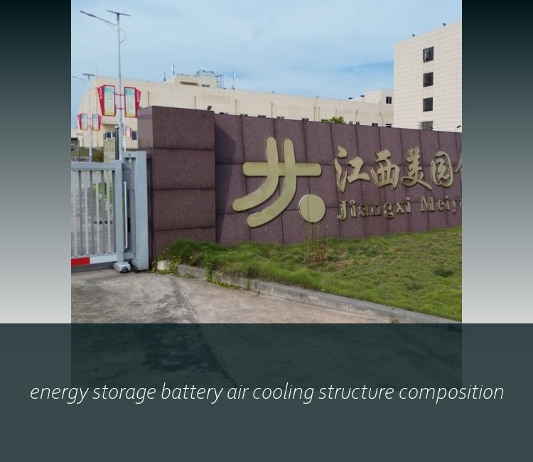 energy storage battery air cooling structure composition