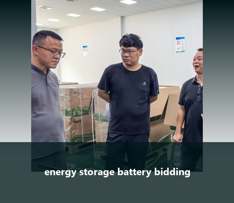 energy storage battery bidding