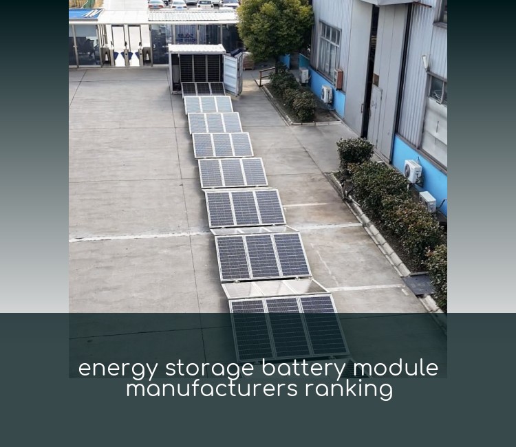 energy storage battery module manufacturers ranking