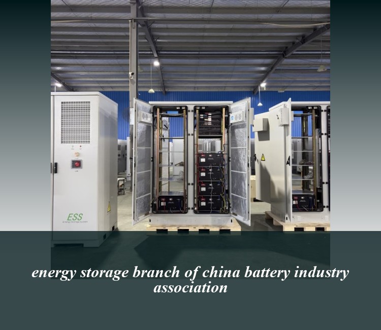 energy storage branch of china battery industry association