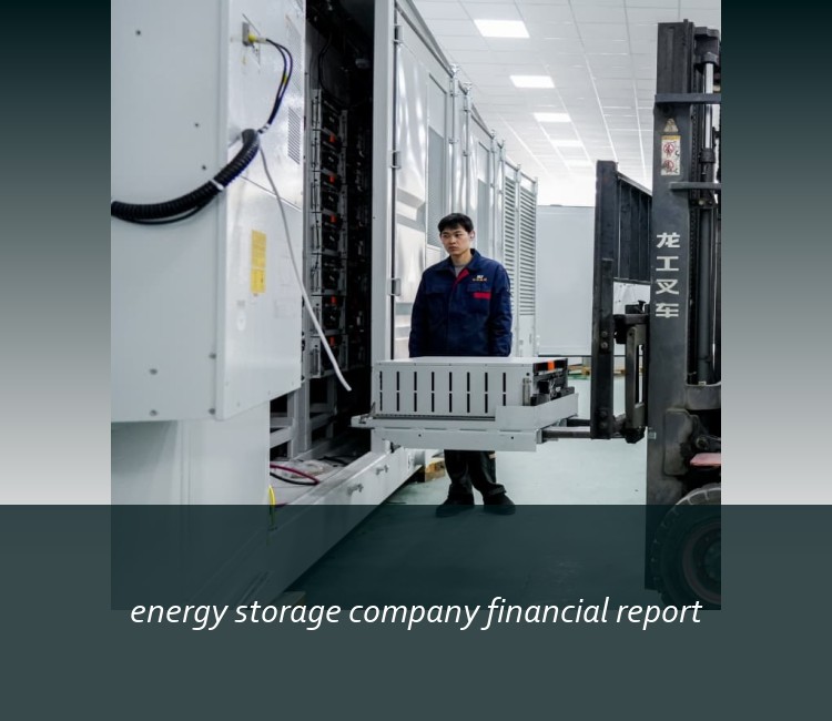energy storage company financial report