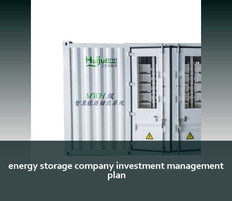 energy storage company investment management plan