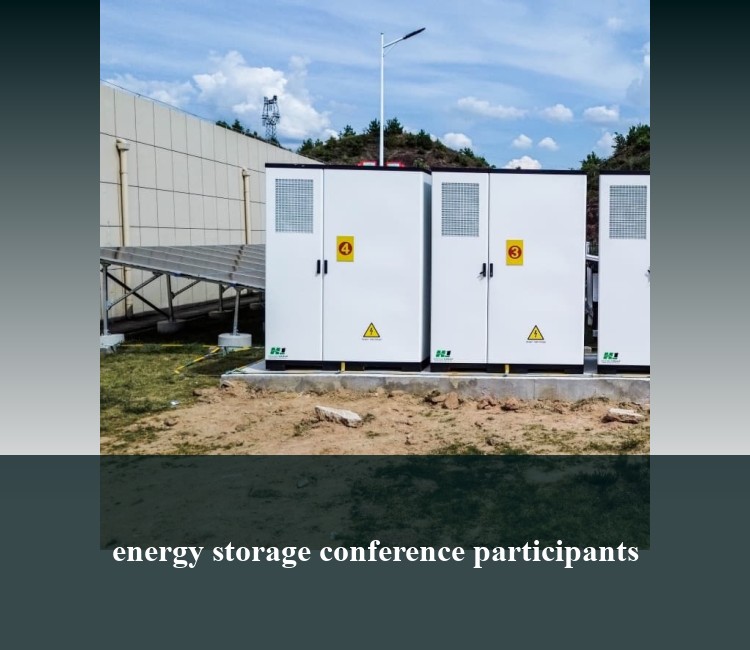 energy storage conference participants