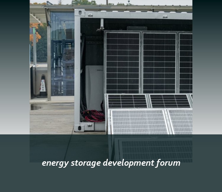 energy storage development forum