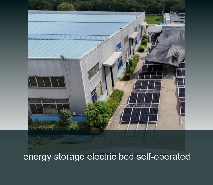 energy storage electric bed self-operated