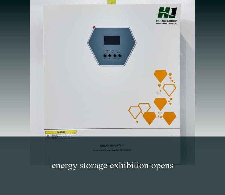 energy storage exhibition opens
