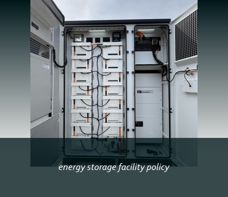 energy storage facility policy