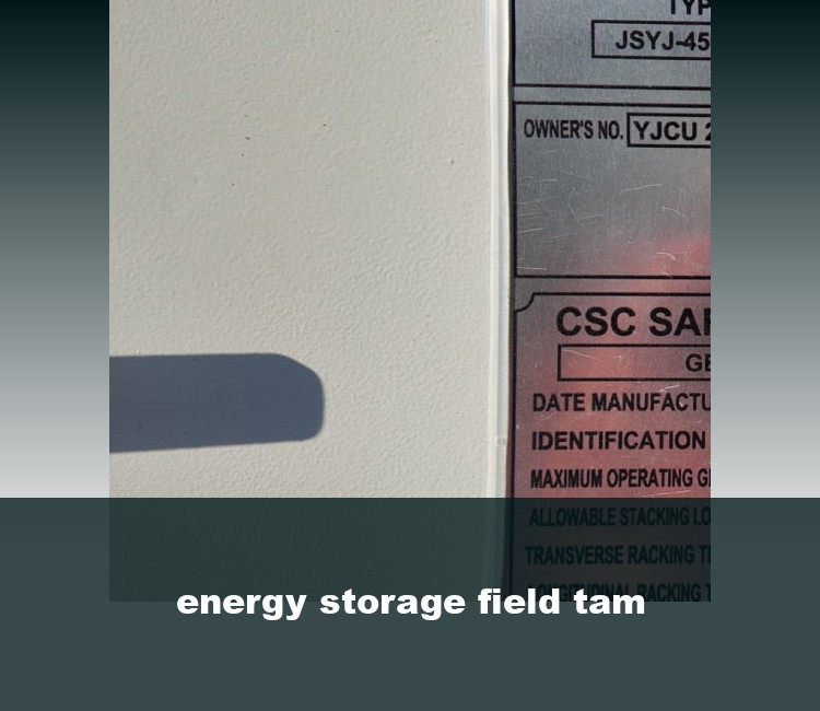 energy storage field tam