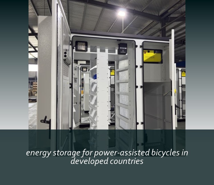 energy storage for power-assisted bicycles in developed countries
