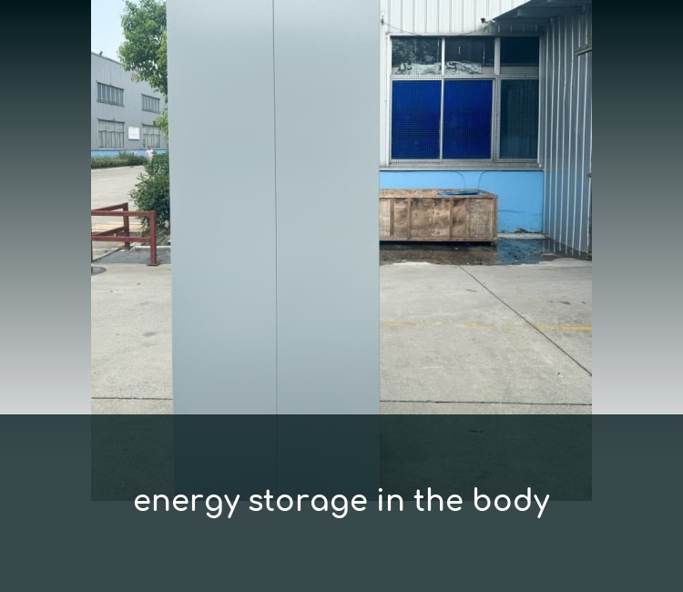 energy storage in the body