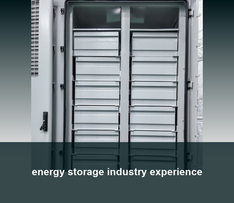 energy storage industry experience